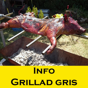 info grillad gris